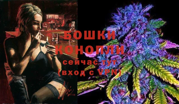 ПСИЛОЦИБИНОВЫЕ ГРИБЫ Абдулино